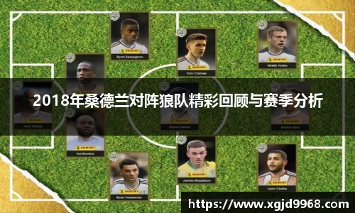 2018年桑德兰对阵狼队精彩回顾与赛季分析
